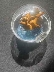 Pokemon Dragonite Figurine Clear Poke Ball Flying Dragon Nintendo