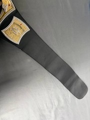WWE Wrestling Champion Monday Night Raw Lights and Sound Belt Te