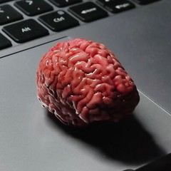 2PC 1CM Human Brain 1:12 Scale Dollhouse Miniatures Dioramas Horror. Accessories