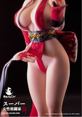 IN STOCK New NINJA CAT N001 1/6 Female Fighter Mai Shiranui 12″ Action Figure