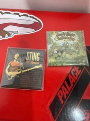 Zuru Mini Brands Vinyl – The Beach Boys – Good Vibrations & Sting Songs Rare