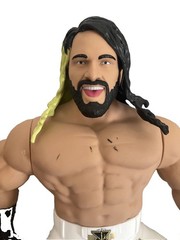 WWE Wrestling Figures 14 in. Poseable Talking Seth Rollins & Roman Reigns