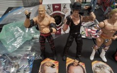 2024 WWE Mattel Elite Summer Slam Set Undertaker Kane Luger X-Pac John Cone BAF!