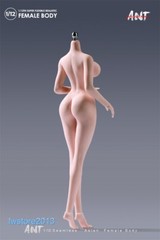 US ANT 1:12 Pale Large Bust Plump Hip 6″ Seamless Female Action Figure Body Toys