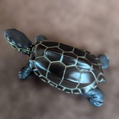 Kaiyodo Turtle Figure Set of 5 Collectible Sea Creatures, Varies in Size