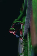 In Stock The Amazing Spider-Man No Way Home S.H Figuarts Andrew Garfield CT Ver.