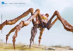 HIYA TOYS Godzilla x Kong: The New Empire Scylla – Exquisite Basic Series Figure