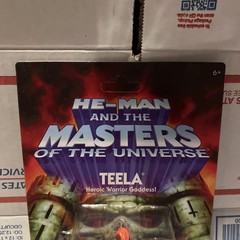 MOTU Mattel Masters Of The Universe Cartoon Collection Teela Figure SEALED (M1)