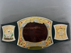 WWE Wrestling Champion Monday Night Raw Lights and Sound Belt Te