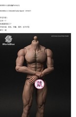 Worldbox AT011/12/16-20/42 1/6 Male Durable Joint Body For 12″Action Figure Doll