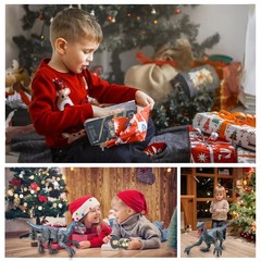 Remote Control Dinosaur Toys for Boys Kids Girls 3 4 5 6 7 8 Electronic RC Ro…