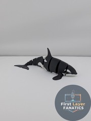 Articulated “Classic Orca” Fidget Toy, 3D Printed Killer Whale Desk Buddy-Flexi