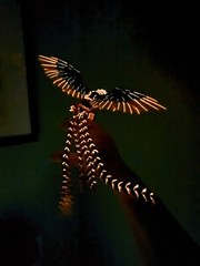3D Printed 1 Pack Phoenix Animals 14.5” Luminous Articulated Toy Gift