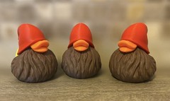Gnome Duck – Ducking Gift – Cruises – Collectibles