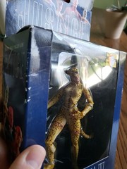 DC Direct Justice League Alex Ross Series 1 Cheetah Action Figure (Box Has Wear)