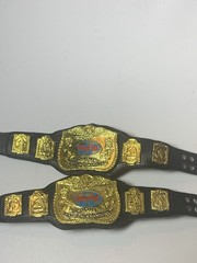 WWE Mattel WWF Classic World Tag Team Champions 2 Title Belt Lot For Figures