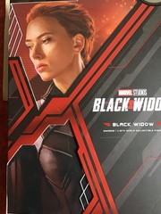 Hot Toys Black Widow MMS 603 Collectible 1/6 Scale Figure
