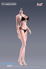 US ANT 1:12 Pale Large Bust Plump Hip 6″ Seamless Female Action Figure Body Toys