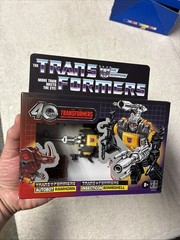 Transformers 40th Anniversary Autobot Ramhorn & Insecticon Bombshell Figures MIB