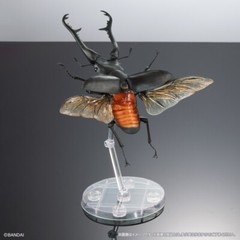 The Diversity of Life on Earth Giraffe Stag Beetle & Hexarthrius Mandibularis