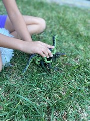 Amazing Detail RIOJASAURUS Kid Galaxy Poseable Dino Dinosaur Toy Figure NEW!!