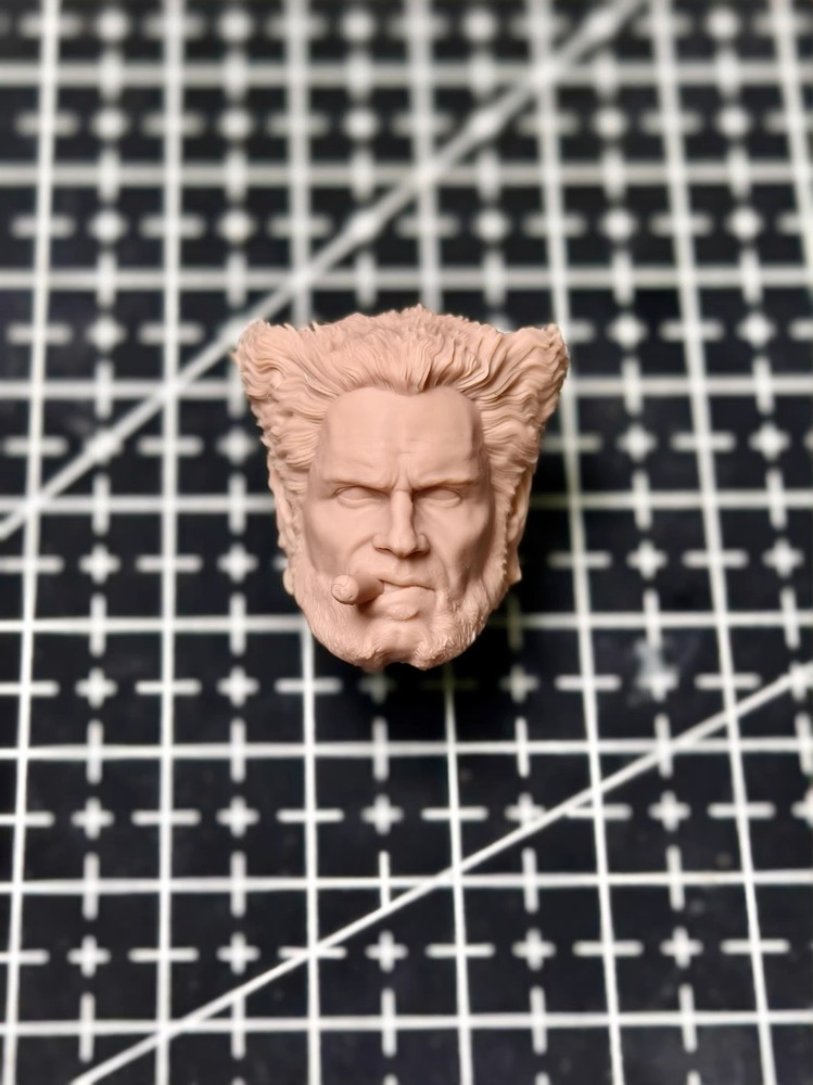 1/18 1/12 1/6 Unpainted Henry The Cavillerine Head Carving Sculpt White Mold