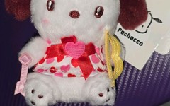 Sanrio “Pochacco” Plush Keychain Heart Carabiner Valentine China Exclusive