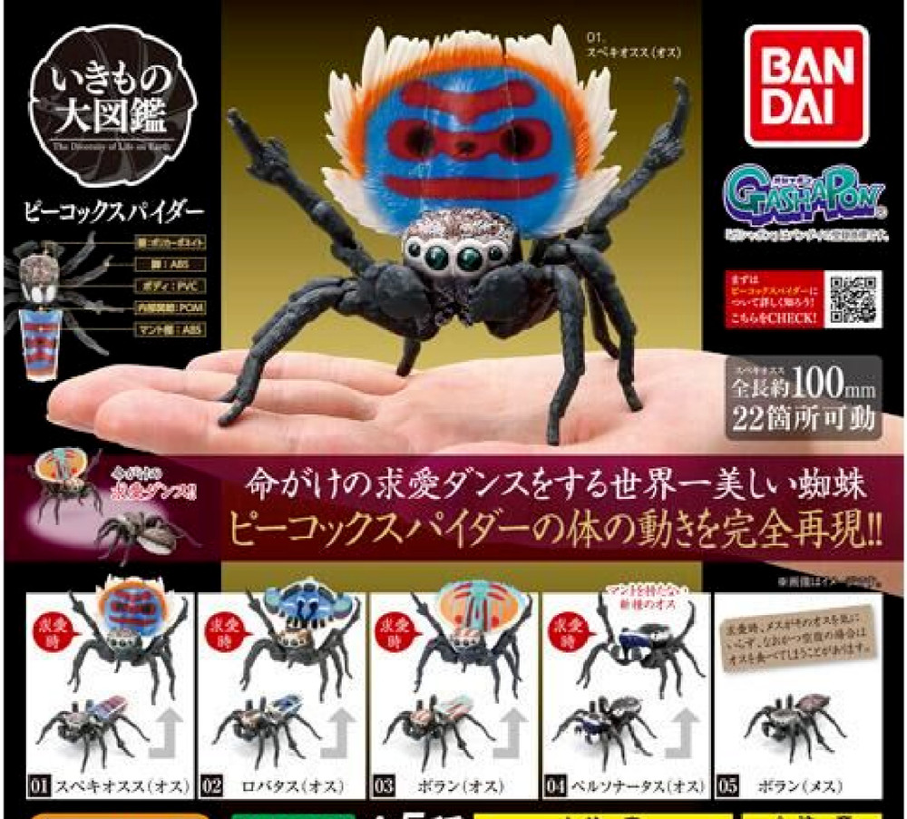 The Diversity of Life on Earth Peacok Spider Figure Bandai Capsule Toy