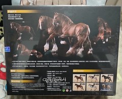 FishToys D20Studio HY010-16 Horse 1/12 Action Figure Simulation Model Kit Gifts