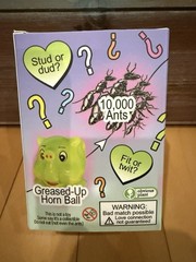 New Obvious Plant Guess Who Loves You Blind Box Surprise Figure Meme Art Toy