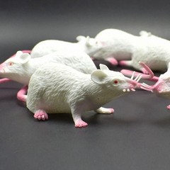 Lifelike Fake Rat Mouse Model Prank Toy Halloween Party Decor