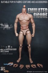 ZC Toys 1/6 Scale 12″ Muscular Male Action Figure Body For Hot Toys Head Sculpt