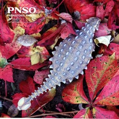 Pnso Detailed Dinosaur Models Sede The Ankylosaurus 8.3