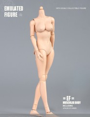 US SOTCK 1:6 Female Pale Skin Large Breast 12inch Flexible Figure Body Model Toy