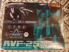 Macross RVF-25 Messiah Luca Custom GE-45 Bandai Figure