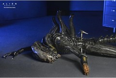 Alien Romulus Suspended Lab Xenomorph XX121 figure NECA 17437