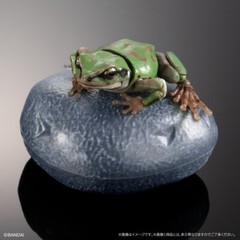 The Diversity of Life on Earth Tree Frog Figure 02 Set of 5 Complete Bandai