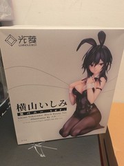 ishimi yokoyama Black Bunny Vet