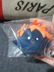 Japan Anime Haikyu Haikyuu Crow Plush Doll Plush Toy Keychain Keyring Cosplay
