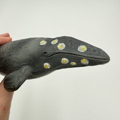 5 Whale Narwhal Realistic Toy Lot Ocean Life 6-11” Unbranded Schleich Type READ