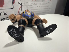 TRT Wrath Title Run Toys Wrestling Figure Hasbro Style Retro Adam Bomb WCW MINT