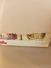 Nook Nooks Series 1 Blind Box Collectible Mini Collectible Figurine Display CASE