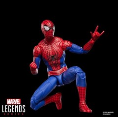 Marvel Legends The Amazing Spider-Man No Way Home 6-Inch Action Figure IN HAND