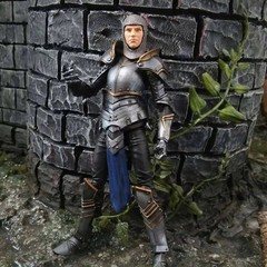 Knight of Accord FEMALE Warrior of Order -Vitruvian H.A.C.K.S. 1:18 Scale Action