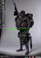 Damtoys 78073 Combat Diver Pla Marine Corps 1/6 Action Figure New Toys In Stock