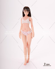 LDDOLL 27S 1/6 Female Silicone Seamless Body Details 12″ Action Figure F OB Head
