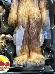 Hot Toys Star Wars Empire Strikes Back V Chewbacca & C-3PO MMS766 1/6 Sideshow