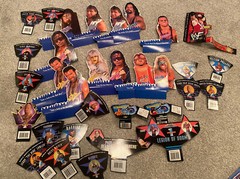 WWE WWF Jakks BCA Bone Crushing Action Insert Lot Stone Cold Razor Diesel Bret
