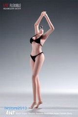 US ANT 1/12 T305B Pale Skin 6″ Seamless Female Action Figure Body Hand Foot Toys