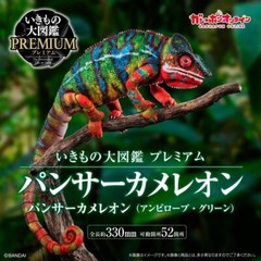 Premium Living Creatures Encyclopedia Panther Chameleon Ambilobe Green & Red